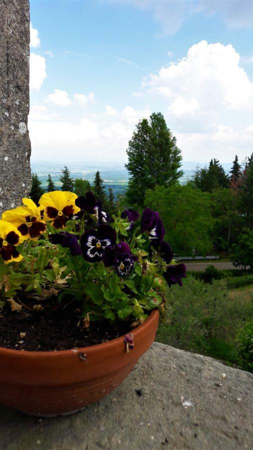 A Due Passi Dal Chianti Apartamento Cavriglia Exterior foto