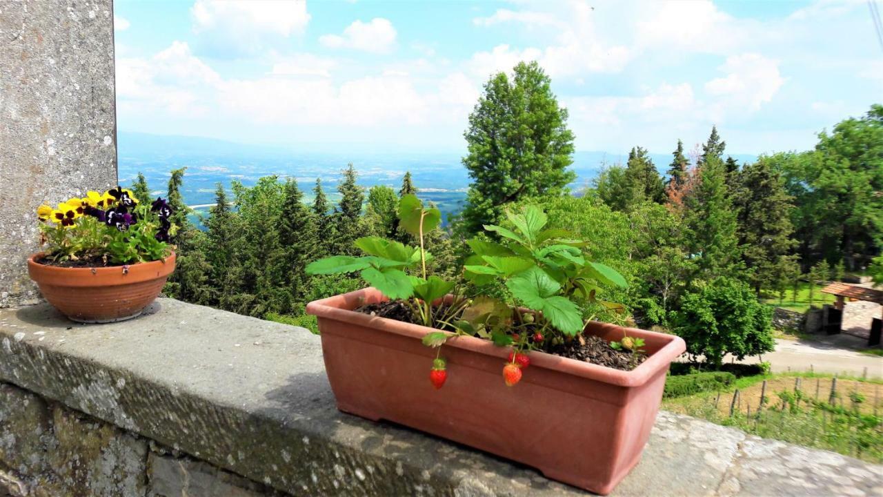 A Due Passi Dal Chianti Apartamento Cavriglia Exterior foto